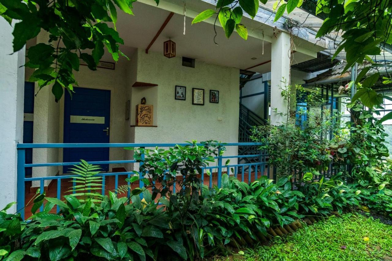 Mistletoe Homestay & Cafe ムンナル エクステリア 写真