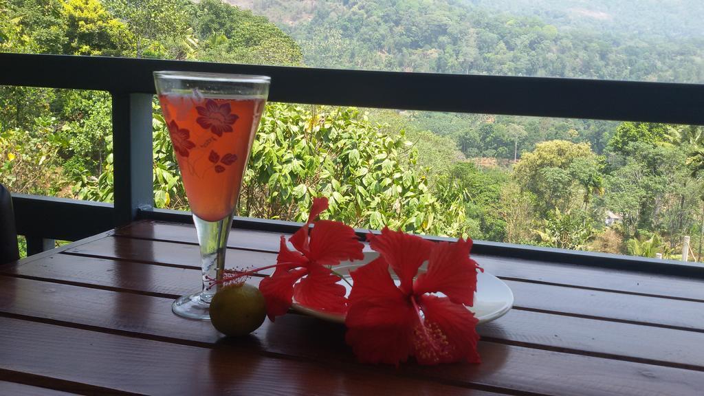 Mistletoe Homestay & Cafe ムンナル エクステリア 写真